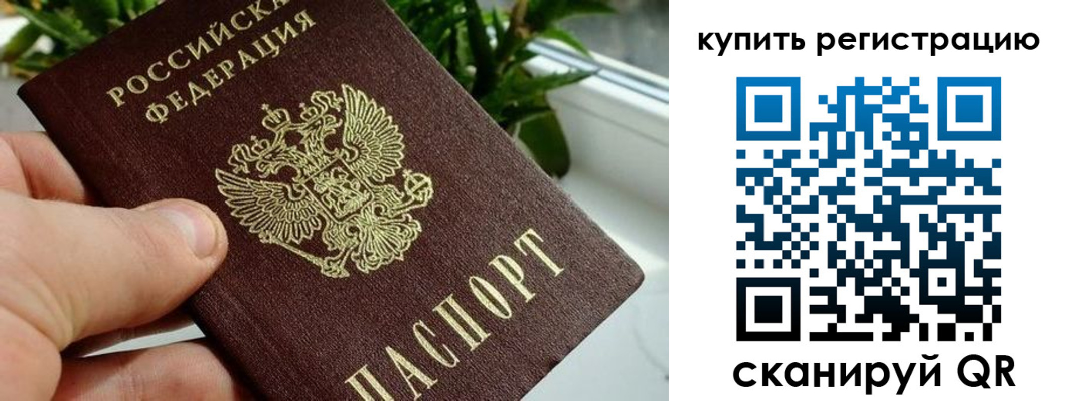 прописка гарантия в Пласте